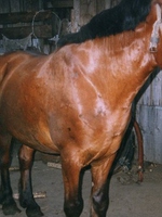 Innocent blonde webcamgirl getting real naughty on camera