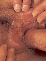 Classic matreise loves a big cock in her tight hairy pussy